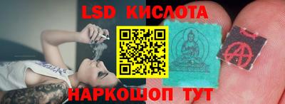бошки Кингисепп