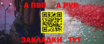 бошки Кингисепп