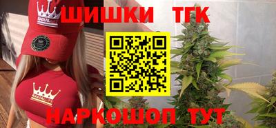 бошки Кингисепп