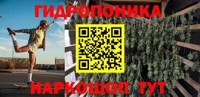 бошки Кингисепп