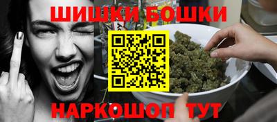 бошки Кингисепп