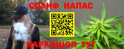 гидра Кимры