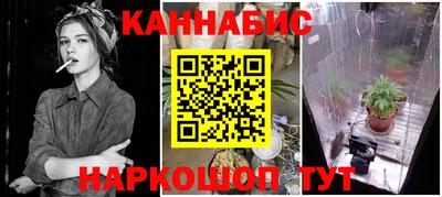 гидра Кимры