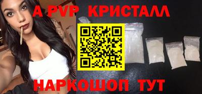 бошки Кингисепп