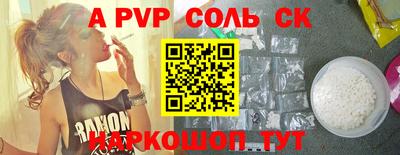 бошки Кингисепп