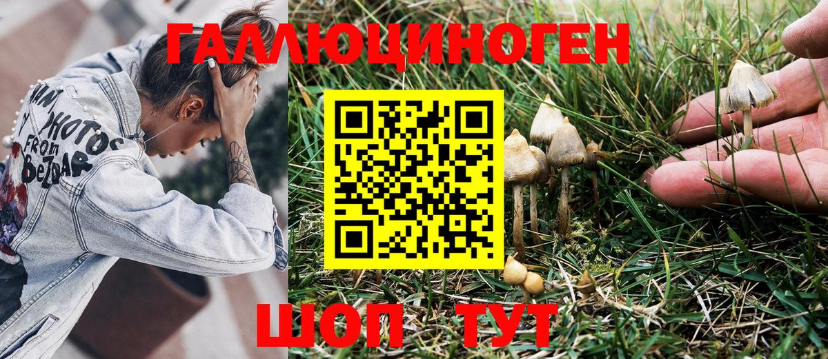 Жуковский  Псилоцибиновые грибы Psilocybe  Псилоцибиновые грибы мухоморы  Вход с VPN 
